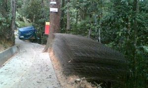 Proposed Construction and Completion of Penang Hill Road for Ujung Sempurna Sdn Bhd